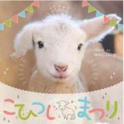 ヒメ日記 2026/02/20 19:45 投稿 本上 横浜おかあさん