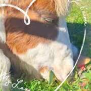 ヒメ日記 2026/02/24 19:05 投稿 本上 横浜おかあさん