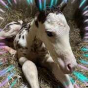 ヒメ日記 2026/02/25 12:55 投稿 本上 横浜おかあさん