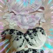 ヒメ日記 2026/02/27 10:15 投稿 本上 横浜おかあさん