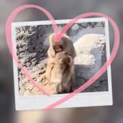 ヒメ日記 2026/03/11 12:15 投稿 本上 横浜おかあさん