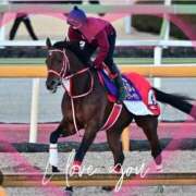 ヒメ日記 2026/03/16 11:45 投稿 本上 横浜おかあさん