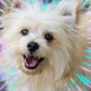 ヒメ日記 2026/03/16 13:45 投稿 本上 横浜おかあさん