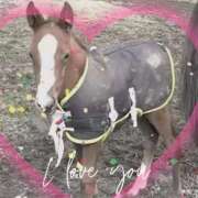 ヒメ日記 2026/03/17 11:45 投稿 本上 横浜おかあさん