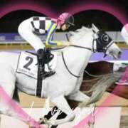 ヒメ日記 2026/03/30 12:45 投稿 本上 横浜おかあさん