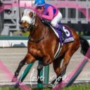 ヒメ日記 2026/04/06 13:14 投稿 本上 横浜おかあさん