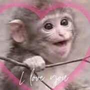 ヒメ日記 2026/04/09 16:21 投稿 本上 横浜おかあさん