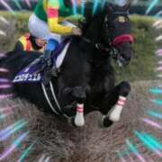 ヒメ日記 2026/04/18 22:35 投稿 本上 横浜おかあさん