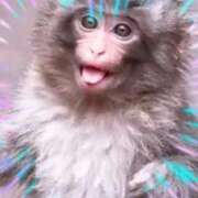 ヒメ日記 2026/04/19 13:25 投稿 本上 横浜おかあさん