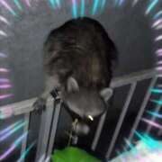 ヒメ日記 2026/04/28 20:15 投稿 本上 横浜おかあさん