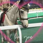 ヒメ日記 2026/05/13 16:15 投稿 本上 横浜おかあさん