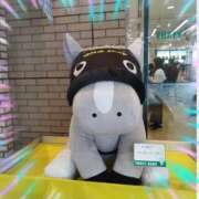 ヒメ日記 2026/08/07 11:15 投稿 本上 横浜おかあさん