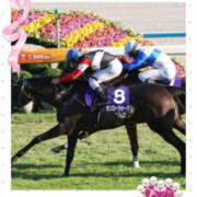 本上 凄すぎて💖 横浜おかあさん