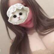 ヒメ日記 2025/03/17 17:52 投稿 まい プレイガール(亀有)