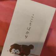 ヒメ日記 2025/12/18 12:32 投稿 まい プレイガール(亀有)