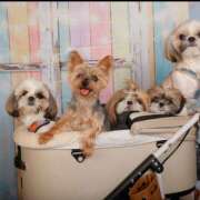 ヒメ日記 2025/12/18 22:15 投稿 みひろ 立川人妻研究会