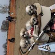 ヒメ日記 2026/03/23 14:57 投稿 みひろ 立川人妻研究会