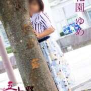 ヒメ日記 2024/12/10 10:32 投稿 花園ゆめ 五十路マダム富山店(カサブランカグループ)