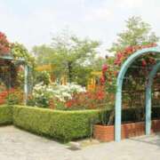 ヒメ日記 2025/05/06 17:54 投稿 花園ゆめ 五十路マダム富山店(カサブランカグループ)