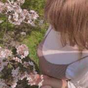 ヒメ日記 2026/03/20 10:18 投稿 花園ゆめ 五十路マダム富山店(カサブランカグループ)