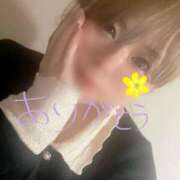 ヒメ日記 2025/07/03 16:00 投稿 かなめ ぽっちゃり巨乳美女専門川越ちゃんこ