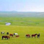 ヒメ日記 2025/06/16 21:50 投稿 りん 出会い系人妻ネットワーク さいたま～大宮編