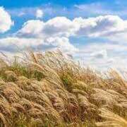 ヒメ日記 2025/07/12 23:15 投稿 りん 出会い系人妻ネットワーク さいたま～大宮編