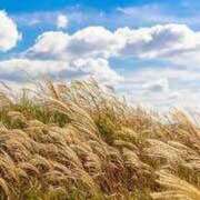 ヒメ日記 2025/07/12 23:32 投稿 りん 出会い系人妻ネットワーク さいたま～大宮編