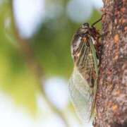 ヒメ日記 2025/08/06 00:32 投稿 りん 出会い系人妻ネットワーク さいたま～大宮編