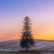 ヒメ日記 2024/12/25 23:40 投稿 天羽　柚子-YUZU- Casual Rich 5（カジュアルリッチファイブ）