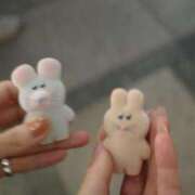 ヒメ日記 2025/03/24 15:08 投稿 天羽　柚子-YUZU- Casual Rich 5（カジュアルリッチファイブ）