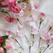 ヒメ日記 2025/04/01 11:00 投稿 天羽　柚子-YUZU- Casual Rich 5（カジュアルリッチファイブ）