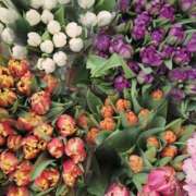 ヒメ日記 2025/04/13 22:30 投稿 天羽　柚子-YUZU- Casual Rich 5（カジュアルリッチファイブ）