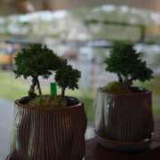 ヒメ日記 2025/06/21 21:05 投稿 天羽　柚子-YUZU- Casual Rich 5（カジュアルリッチファイブ）