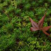 ヒメ日記 2025/10/10 13:38 投稿 天羽　柚子-YUZU- Casual Rich 5（カジュアルリッチファイブ）