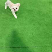 ヒメ日記 2025/11/16 14:44 投稿 天羽　柚子-YUZU- Casual Rich 5（カジュアルリッチファイブ）