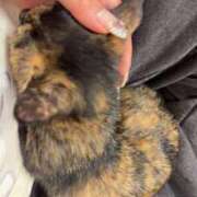 ヒメ日記 2025/12/23 14:09 投稿 天羽　柚子-YUZU- Casual Rich 5（カジュアルリッチファイブ）