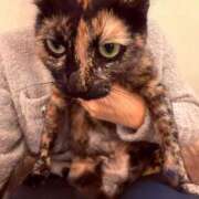 ヒメ日記 2026/02/08 13:14 投稿 天羽　柚子-YUZU- Casual Rich 5（カジュアルリッチファイブ）