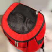 ヒメ日記 2026/02/10 19:07 投稿 天羽　柚子-YUZU- Casual Rich 5（カジュアルリッチファイブ）