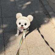 ヒメ日記 2026/02/27 13:25 投稿 天羽　柚子-YUZU- Casual Rich 5（カジュアルリッチファイブ）