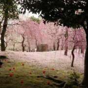 ヒメ日記 2026/03/03 11:32 投稿 天羽　柚子-YUZU- Casual Rich 5（カジュアルリッチファイブ）