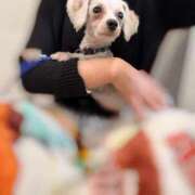 ヒメ日記 2026/03/27 13:22 投稿 天羽　柚子-YUZU- Casual Rich 5（カジュアルリッチファイブ）