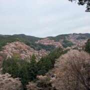 ヒメ日記 2026/04/06 18:07 投稿 天羽　柚子-YUZU- Casual Rich 5（カジュアルリッチファイブ）