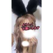 ヒメ日記 2025/02/08 14:36 投稿 あいりす 千葉サンキュー