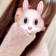 ヒメ日記 2024/12/17 15:38 投稿 ひまり 奥鉄オクテツ和歌山