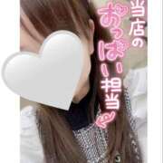 ヒメ日記 2024/12/29 08:53 投稿 ひまり 奥鉄オクテツ和歌山