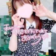 ヒメ日記 2025/02/04 18:03 投稿 ひまり 奥鉄オクテツ和歌山