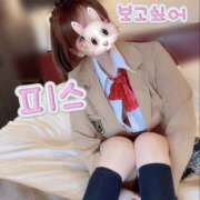 ヒメ日記 2025/03/06 09:18 投稿 ひまり 奥鉄オクテツ和歌山