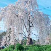 ヒメ日記 2025/03/31 22:43 投稿 ひまり 奥鉄オクテツ和歌山