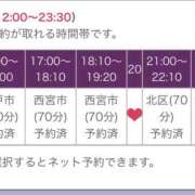 ヒメ日記 2025/04/12 11:03 投稿 ひまり 奥鉄オクテツ和歌山